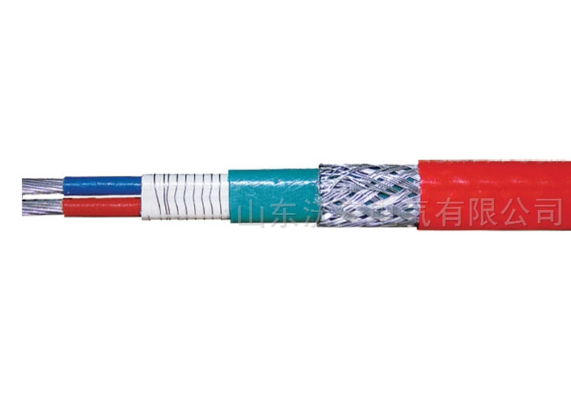 恒功率电伴热系统 RDP2-J3